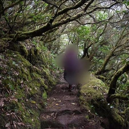 Monte Verde Chinamada Luaran gambar