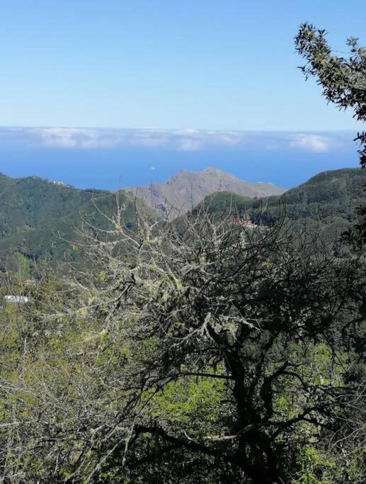 Monte Verde Chinamada Luaran gambar