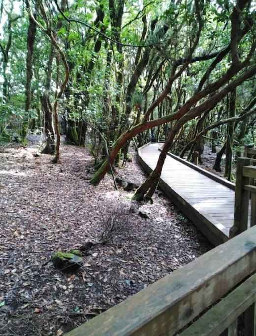 Monte Verde Chinamada Luaran gambar