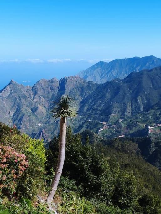 Monte Verde Chinamada Luaran gambar
