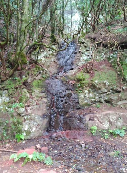 Monte Verde Chinamada Luaran gambar